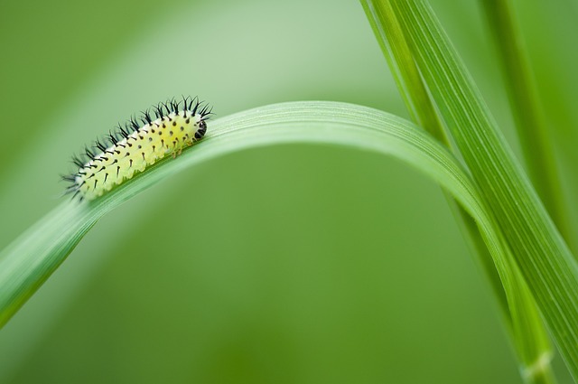 Co to znaczy ścieżka i plan rozwoju pracownika w firmie? Co to znaczy ścieżka i plan rozwoju pracownika w firmie?