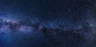 Czy zdjęcia na allegro muszą mieć białe tło?