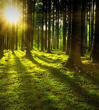 Od jakiej kwoty audyt w JST?